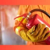 importance of routine fire maintenance